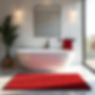 Stylish red and white bath rug in a modern bathroom setting