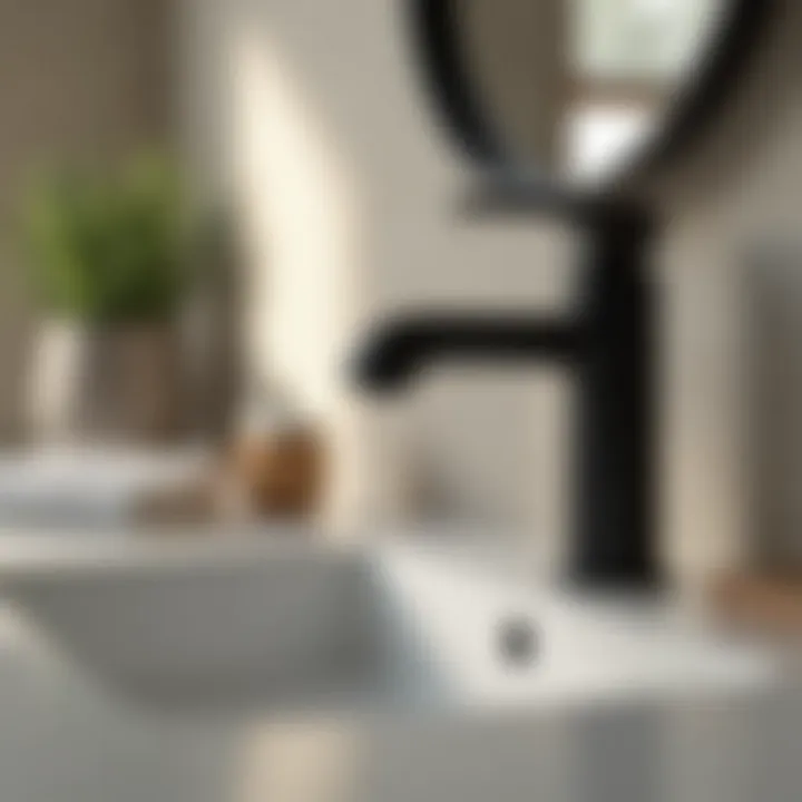 Installation of a matte black faucet in a contemporary bathroom