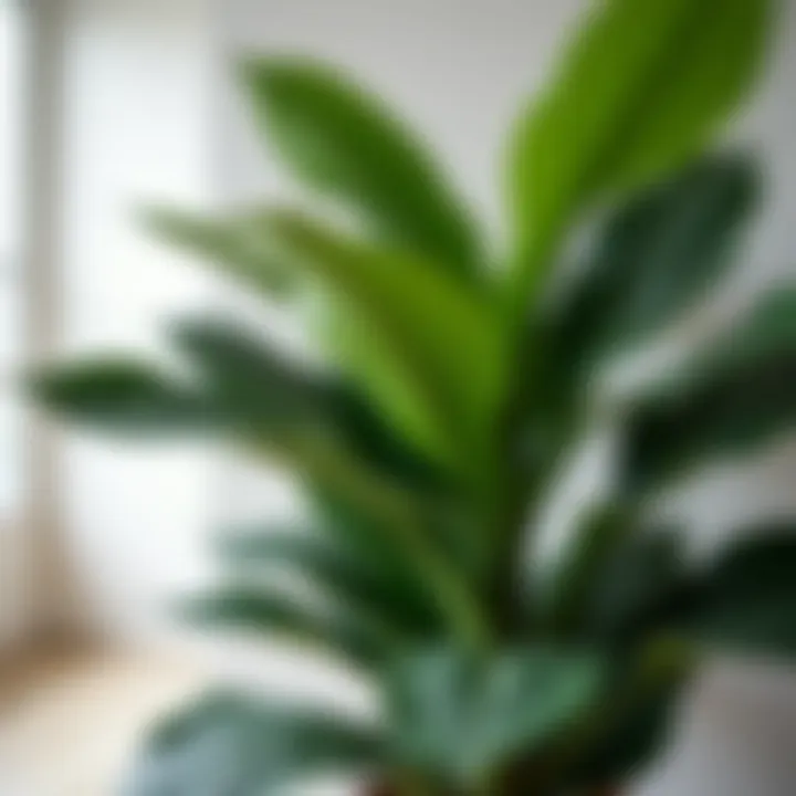 Close-up of a stylish artificial plant in a bathroom setting