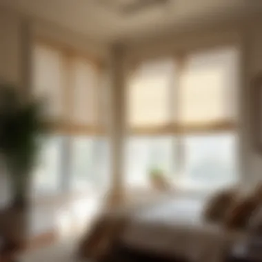 Elegant fabric shades in a master bedroom