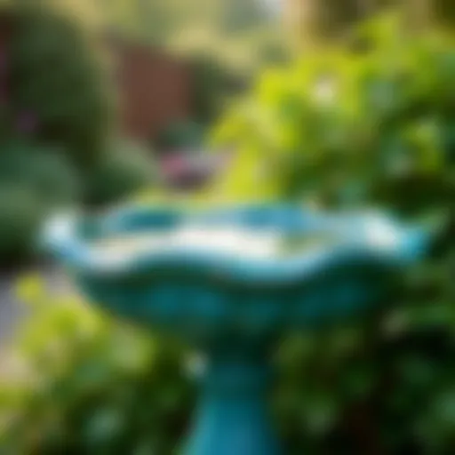 A vibrant bird bath filled with water surrounded by lush greenery