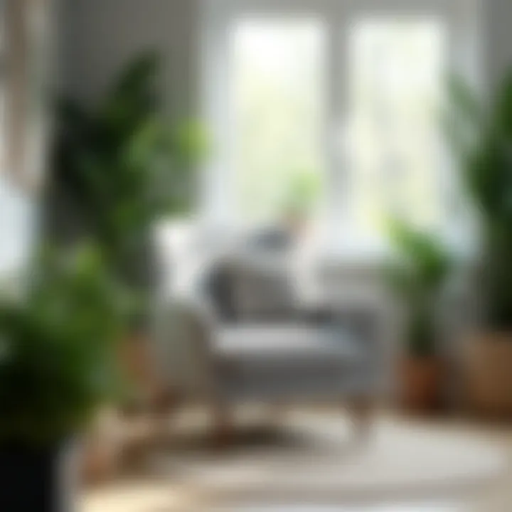 Small grey chair surrounded by natural light and plants